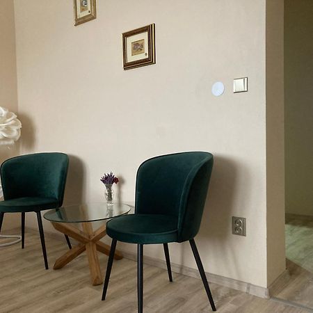 Apartment In The Garden Drzovice Екстериор снимка