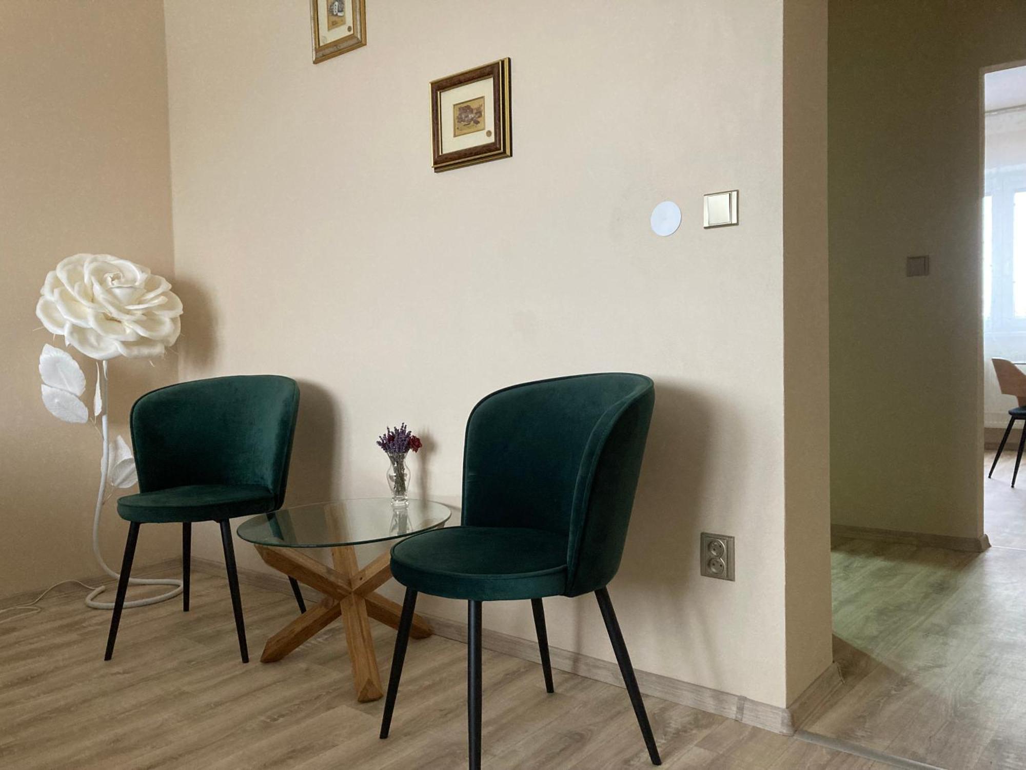 Apartment In The Garden Drzovice Екстериор снимка