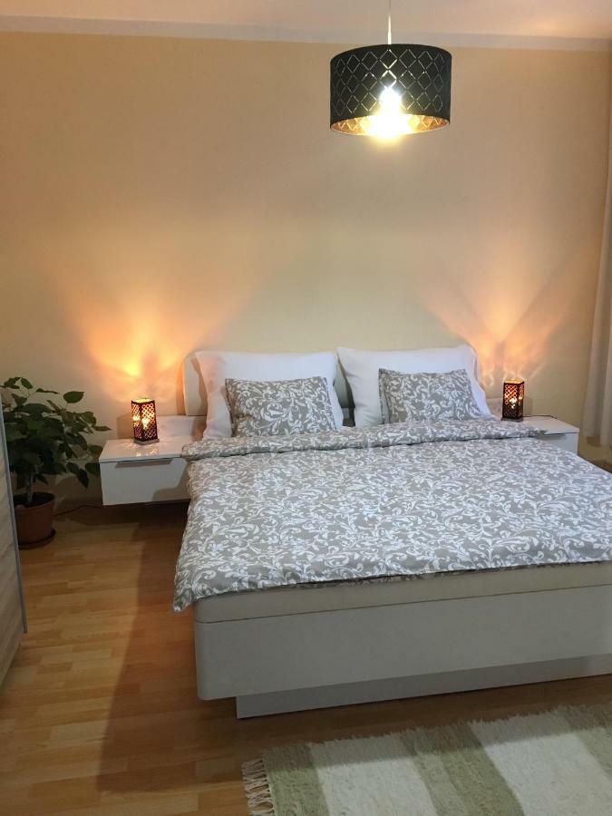 Apartment In The Garden Drzovice Екстериор снимка